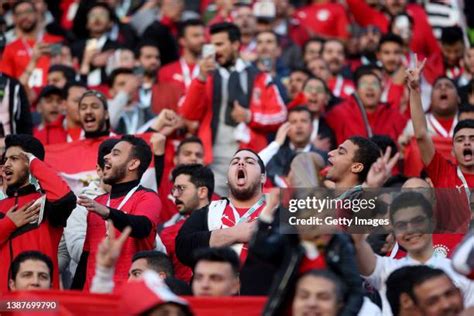 عربي Pussey Members Only: Premium 2026 Content