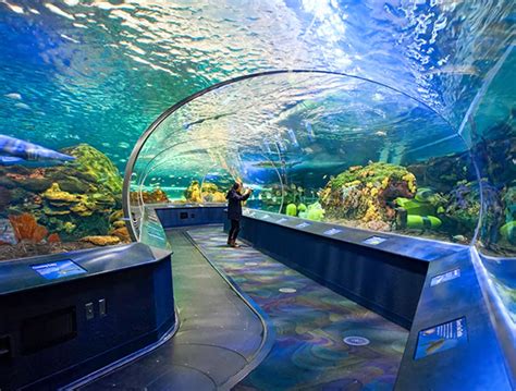 how much is ripley's aquarium