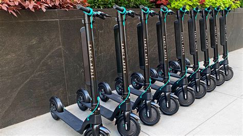how much is scooter rental