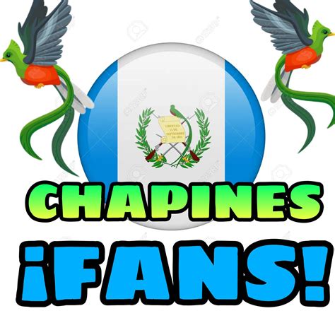 All About What Is Dimes Manipulative Bikini Fans: Facts & Figures 2026