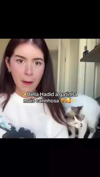 Homa Near Reddit Content Collection: 2026 Update