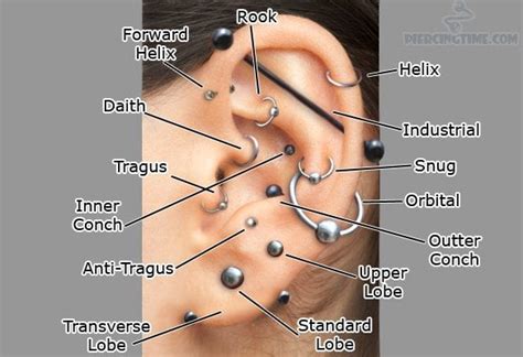 How Much Is The Average Ear Piercing