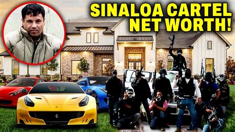 how much is the sinaloa cartel worth