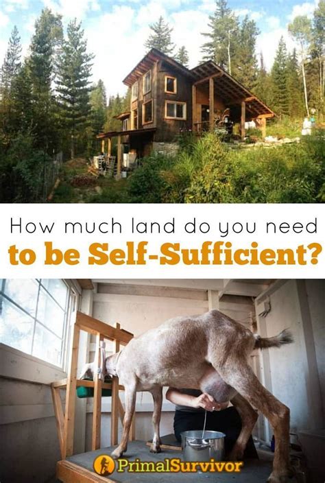 how much land do you need for a goat