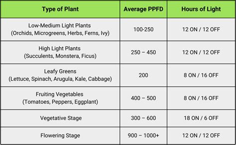 How Much Light Is Needed For Germination
