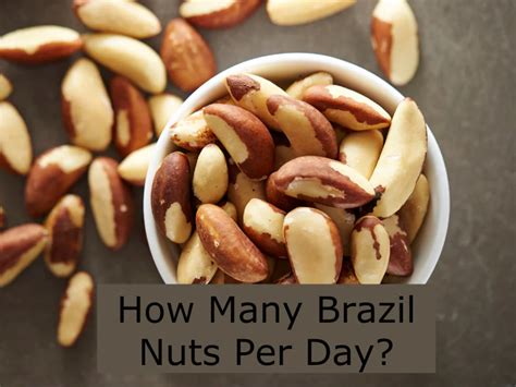 How Much Nut Per Day