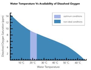 How Much Oxygen Is Present In Water