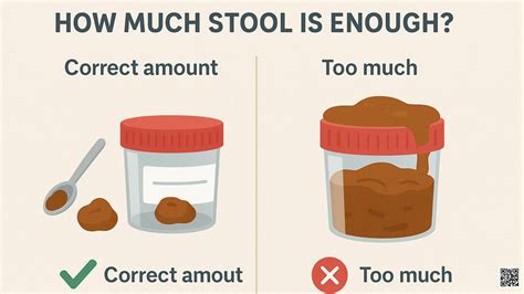 How Much Poop Is Needed For Stool Sample