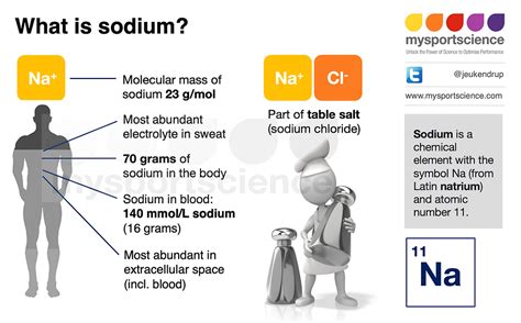 how much sodium is in the human body