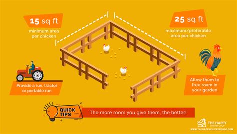 How Much Space Does A Chicken Need In A Coop