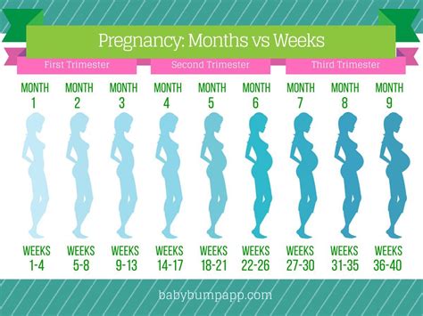 How Much Time Is 18 Weeks