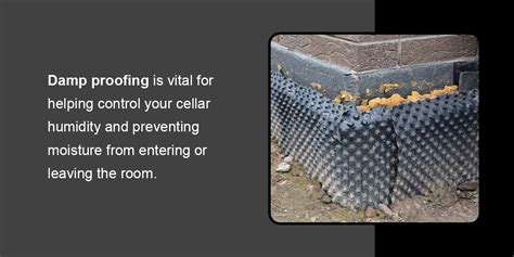 How Much To Damp Proof A Cellar