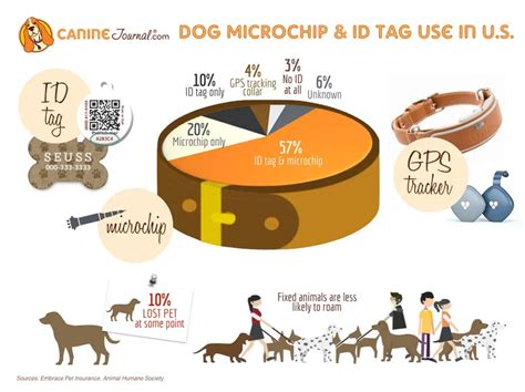 How Much To Microchip A Pet
