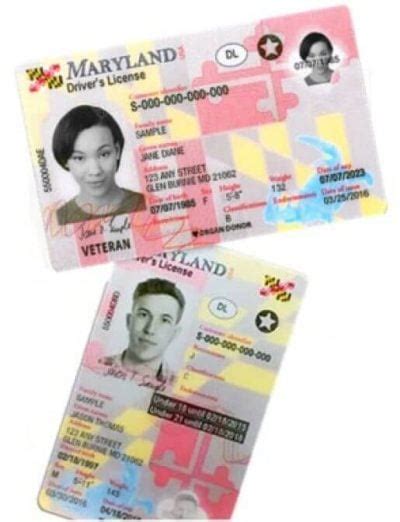 how much to renew license in md