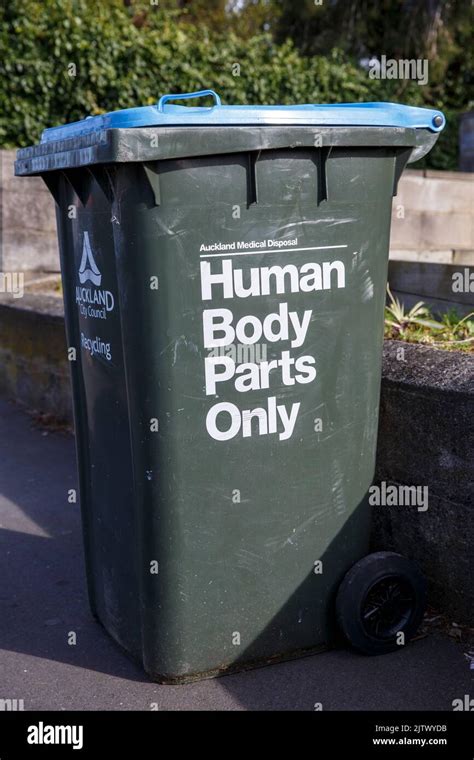 How Much Waste Does The Body Hold