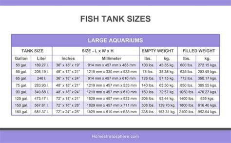How Much Water Does A 2Ft Fish Tank Hold