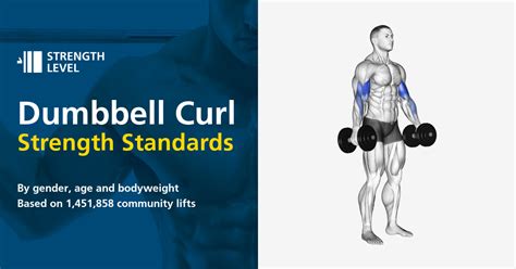 How Much Weight Should I Curl