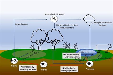 How Nitrous Oxide Is Produced