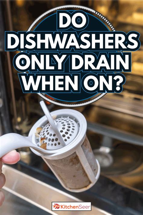 How Often Do Dishwashers Drain
