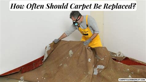 How Often Should Carpet Be Replaced