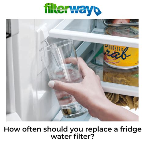 How Often Should I Replace Refrigerator Water Filter