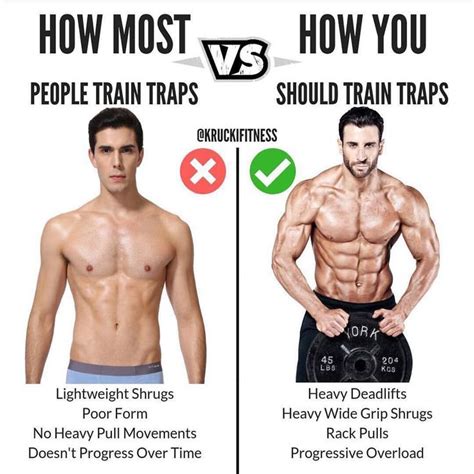 How Often Should I Train My Traps