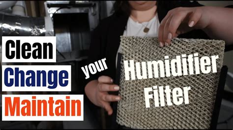 How Often Should You Replace Your Humidifier Filter