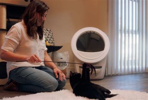 how often to change litter robot
