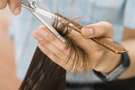  79 Ideas How Often To Cut Hair Female For Hair Ideas