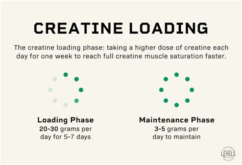 how often to do a creatine loading phase