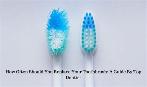 How Often To Replace Dog Toothbrush