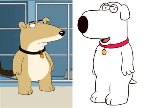 how old is brian griffin in dog years