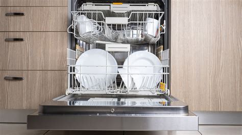 How Old Is Dishwasher
