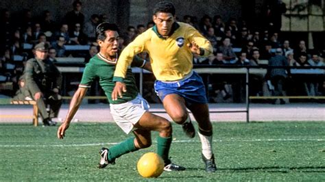 how old is garrincha