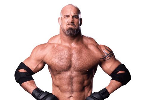 how old is goldberg wwe