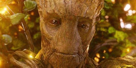 how old is groot in guardians of the galaxy 1