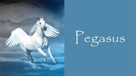 how old is pegasus youtube