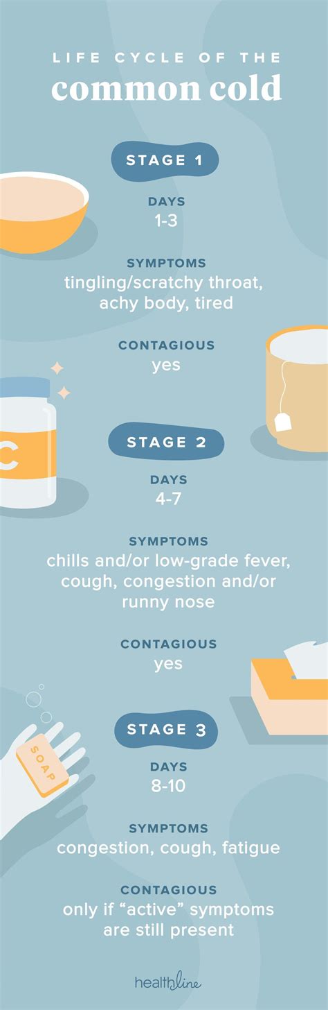 how old is the common cold