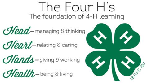 how old to be in 4-h
