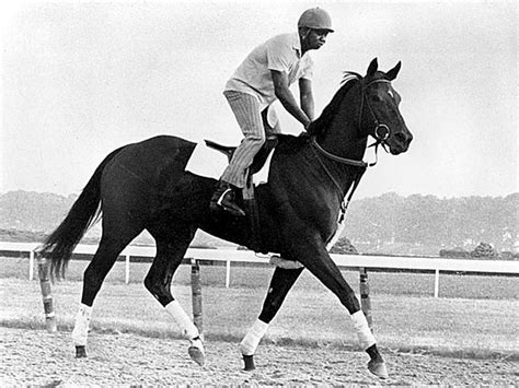how old was ruffian when she died