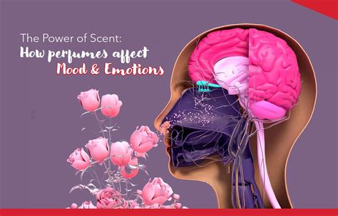 How Perfume Affect The Brain