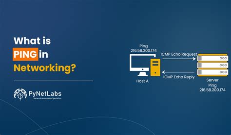 How Ping Works In Networking