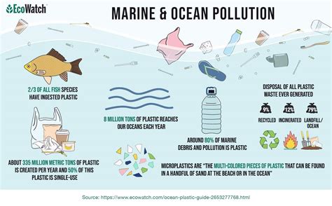 How Plastic Affects The Ocean