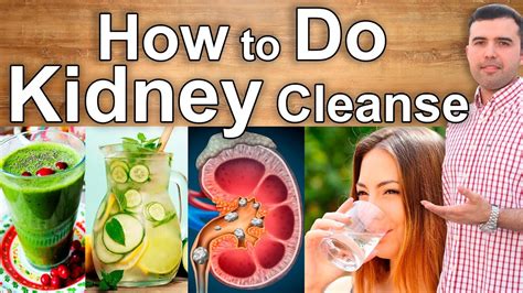 How Quickly Do Kidneys Deteriorate: Signs You Shouldn’t Ignore