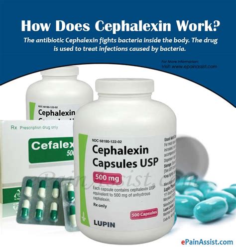 How Quickly Does Cephalexin Work