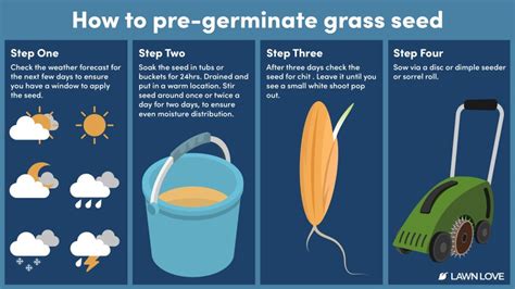 How Quickly Does Grass Seed Germinate