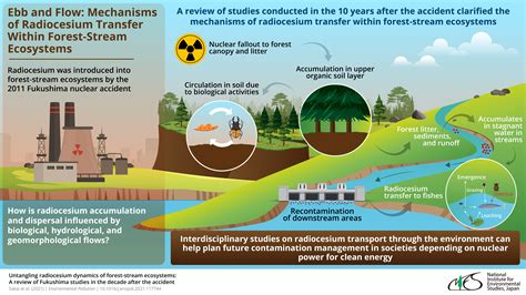 How Radioactive Is Cesium