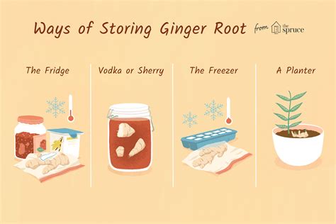 How Should Ginger Root Be Stored