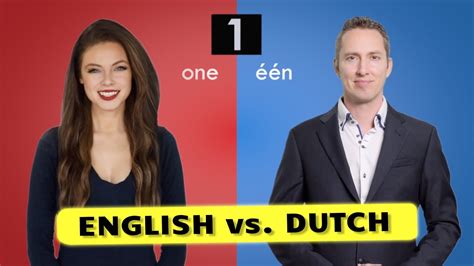 how similar is english to dutch