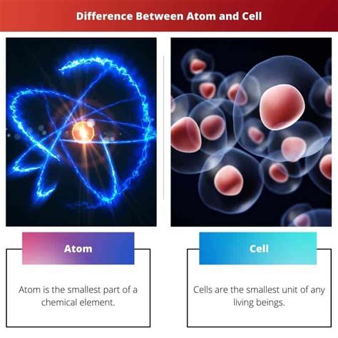 How Small Is An Atom Compared To A Cell